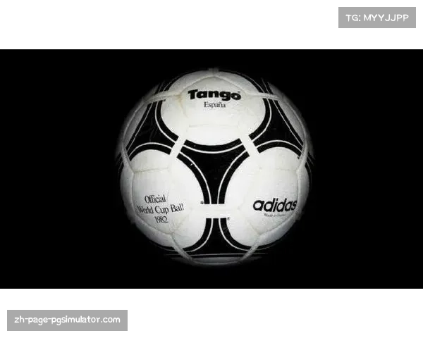 冬季经典赛筹备进行中 气候因素或影响球队发挥 冬季经典赛筹备进行中 气候因素或影响球队发挥